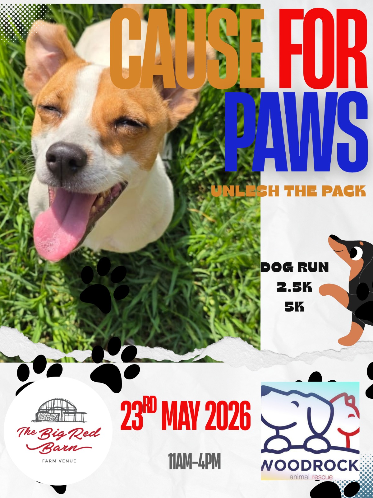 Cause For Paws